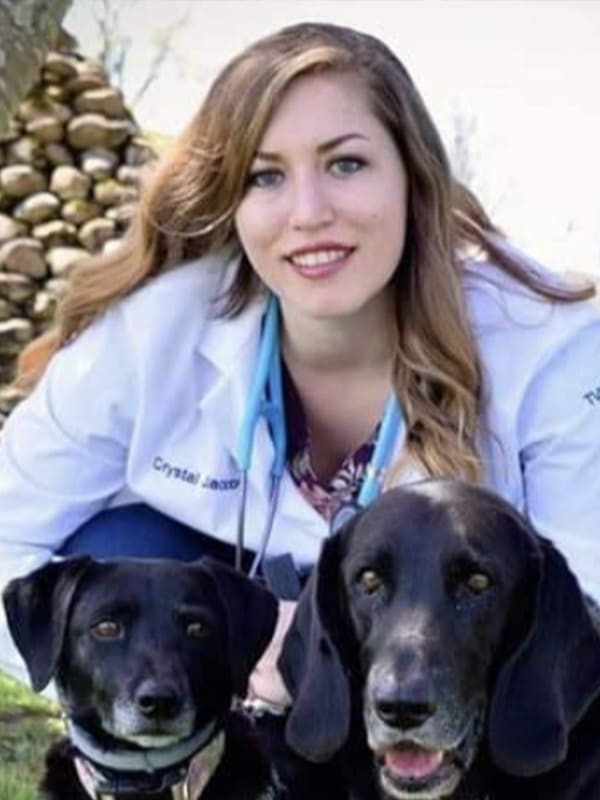 Dr. Crystal Jackson, Little Elm Veterinarian