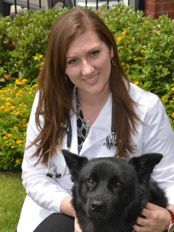 Dr. Lauren Heathcock, Little Elm Veterinarian